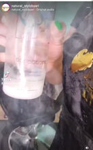 Load and play video in Gallery viewer, decadence™ Spray